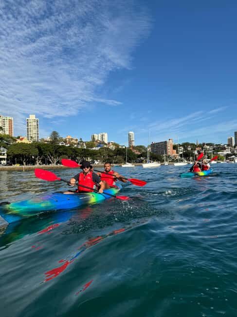 Sydney: Harbour Sunrise Kayak Tour - The Itinerary: From Meeting to Morning Coffee