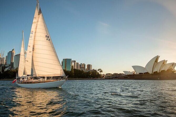 Sydney Harbour Tall Ship Whale & Sail - Whale Watching Cruise - Pros and Cons: A Balanced View