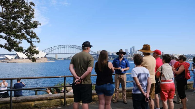 Sydney Harbour to Bondi: Small Group HalfDay Experience - Why This Tour Is a Great Value