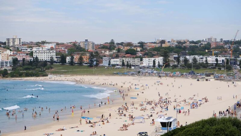 Sydney Harbour to Bondi: Small Group HalfDay Experience - Who Will Love This Tour?