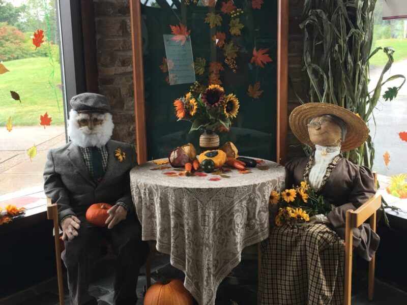 Sydney: Highland Village & Bell Museum Cruise Excursion - The Sum Up