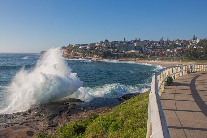 Sydney Highlights Half Day Tour - Who Should Choose This Tour?