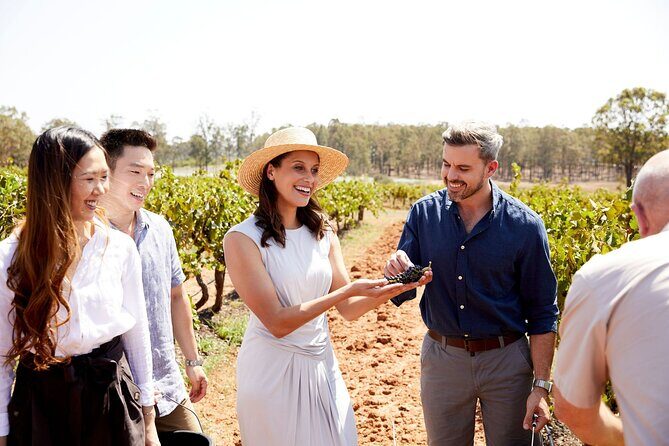 Sydney Hunter Valley Private Wine Tour with Tastings and Lunch - Exploring the Hunter Valley on a Private Wine Tour