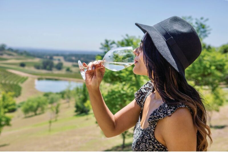 Sydney: Hunter Valley Wineries Day Trip with Food Tastings - Key Points