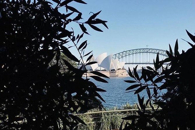Sydney Icons & Bondi Half Day Private Tour - What the Tour Includes and What to Keep in Mind