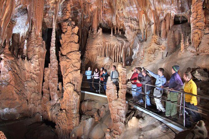 Sydney Like a Local: Customized Private Tour - Exploring Sydney Like a Local: An In-Depth Review