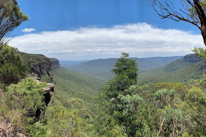 Sydney: Luxury Blue Mountains Adventure as a Small Group Day Tour - Who Would Love This Tour?