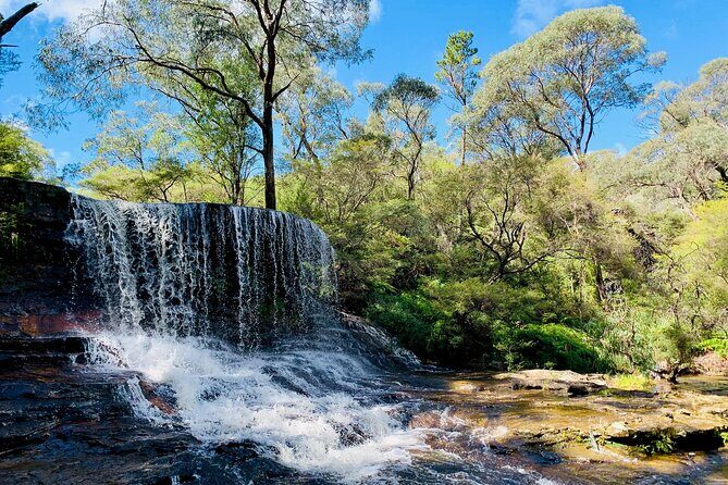 Sydney: Luxury Blue Mountains Adventure as a Small Group Day Tour - The Sum Up