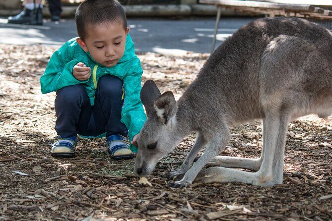 Sydney: Luxury Blue Mountains Adventure as a Small Group Day Tour - FAQ