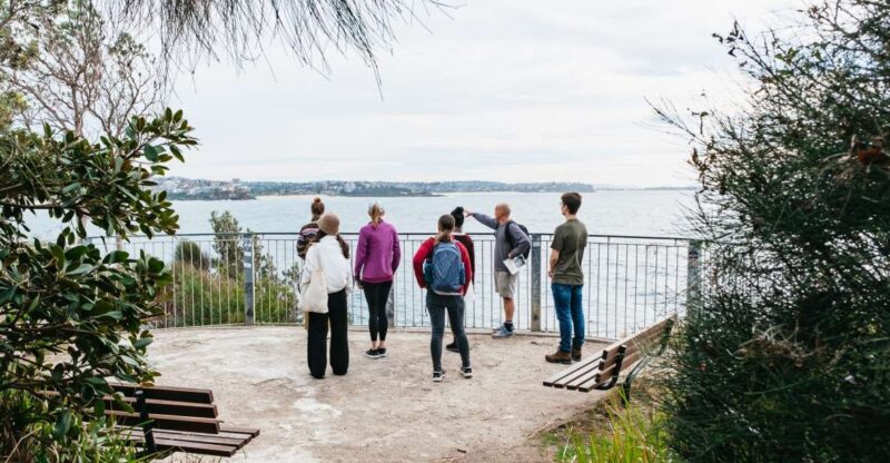 Sydney: Manly and Shelly Beach Snorkeling Tour - Sydney: Manly and Shelly Beach Snorkeling Tour — A Deep Dive into Nature’s Playground