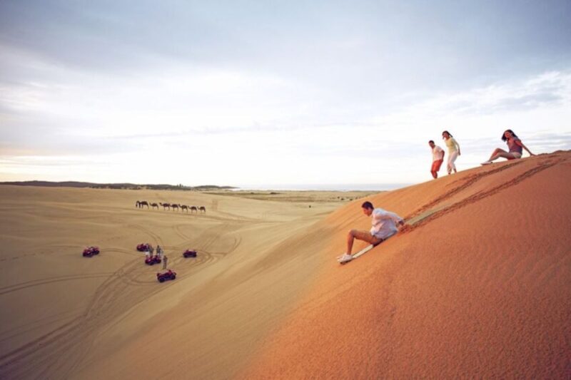 Sydney: Port Stephens Dolphin Cruise & Sandboarding Day Trip - Final Thoughts