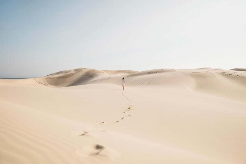 Sydney: Port Stephens Dolphin Watching & Sand Dunes Day Tour - Sydney: Port Stephens Dolphin Watching & Sand Dunes Day Tour