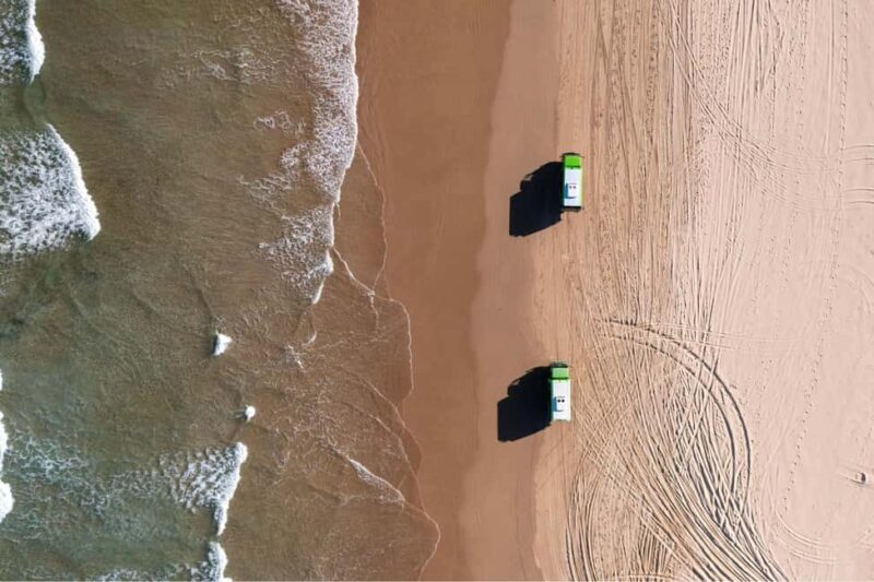 Sydney: Port Stephens Dolphin Watching & Sand Dunes Day Tour - Who Will Enjoy This Tour?