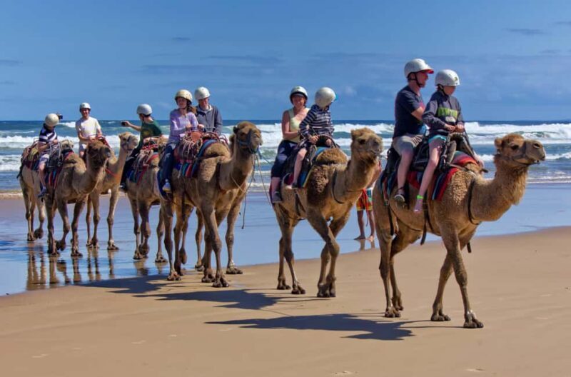 Sydney: Port Stephens Private Tour with Sandboarding - Final Thoughts
