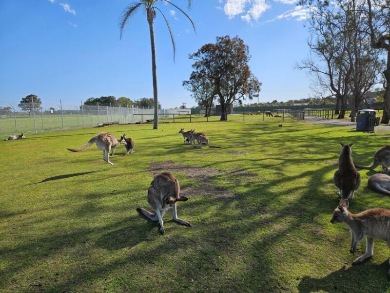 Sydney Port stephens - Who Will Love This Tour?