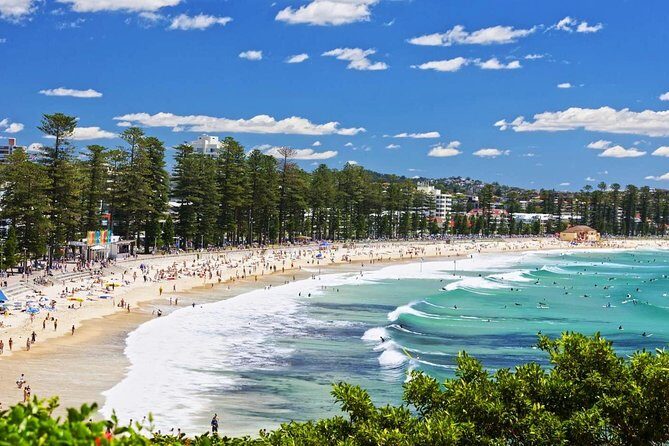Sydney Private Day Tours | See Sydney in Style | 8 Hour Luxury Private Tour - A Deep Dive into the Sydney Private Day Tour