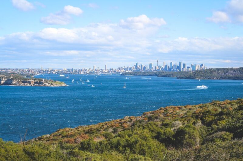 Sydney: Private Half or Full-Day Sightseeing Tour - Exploring Sydney on Your Terms: A Deep Dive
