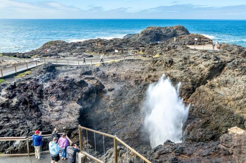 Sydney: Sea Cliff Bridge, Kiama Blowhole and Farmlands Tour - Exploring the Sydney Coastline: Sea Cliff Bridge, Kiama Blowhole, and Farmlands
