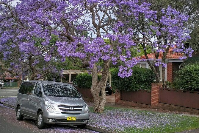 Sydney Secrets and Bondi Beach 4 HOUR MORNING PRIVATE TOUR - FAQ