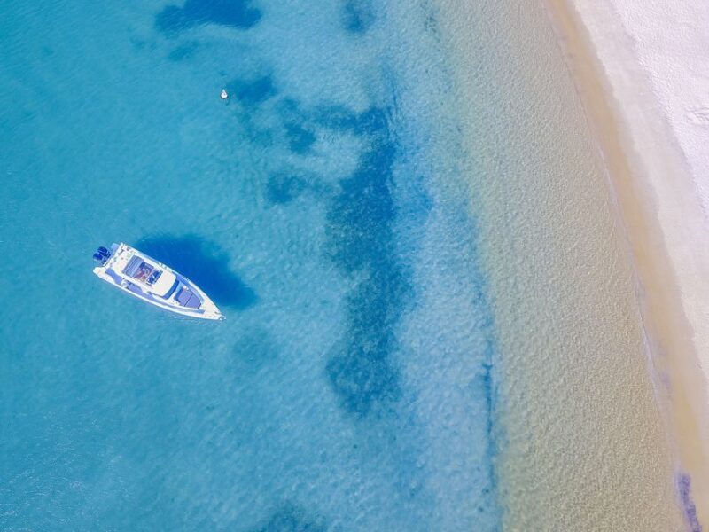 Sydney Secrets Lunch Cruise - FAQ: Your Practical Questions Answered