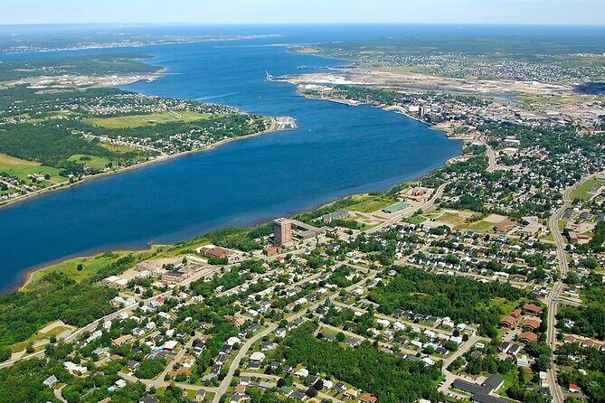 Sydney Sightseer City and Coastal Tour - Final Thoughts