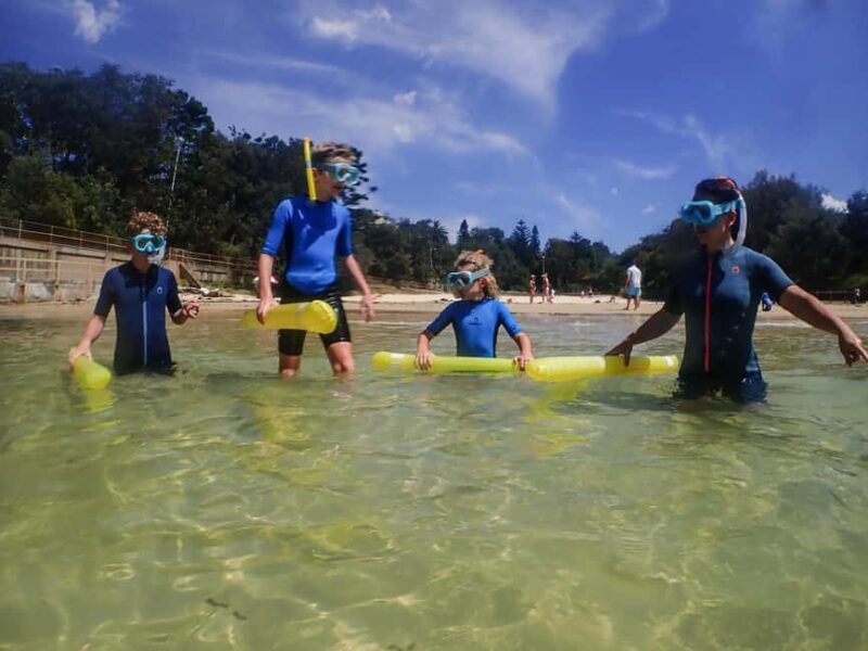 Sydney: Snorkeling Tour for Kids with Private Guide - An In-depth Look at the Experience