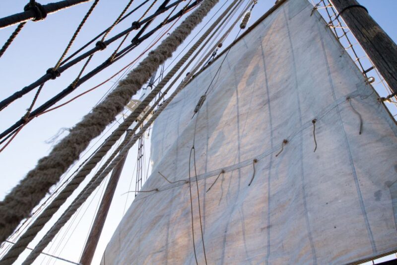 Sydney: Tall Ship Harbour Twilight Dinner Cruise - Who Will Enjoy This?