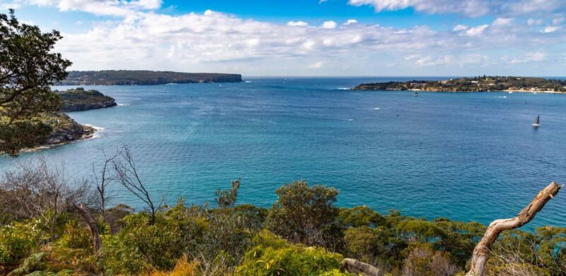 Sydney: Taronga to Balmoral hike with Picnic and painting - Exploring the Sydney Harbour: Taronga to Balmoral Experience