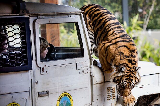 Sydney Taronga Zoo General Entry Ticket - FAQs