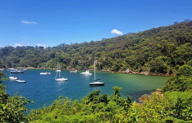 Sydney: Taronga zoo to Balmoral Walk with Ala carte Lunch - Practical Details and Tips