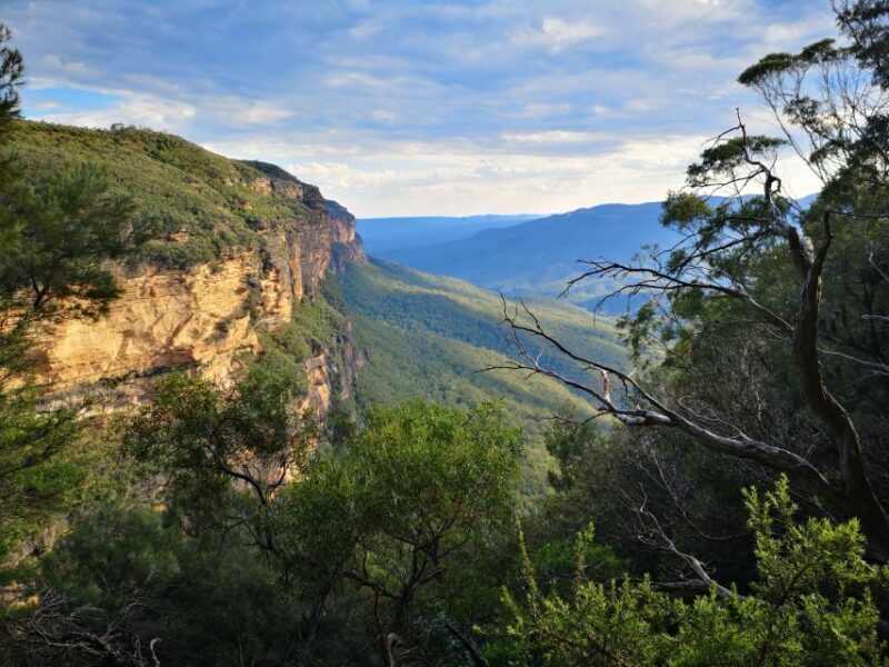 Sydney: Waterfall Bushwalk and Blue Mountain Sunset Day Trip - Final Thoughts: Who Should Consider This Tour?