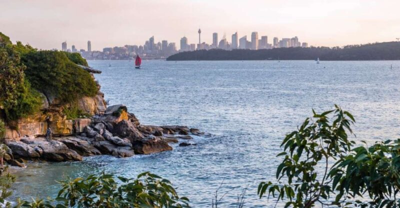 Sydney: Watsons Bay Walking Tour - The Experience in Detail