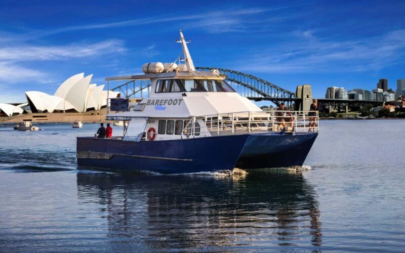 Sydney: Whale Watching Adventure Cruise - Whales Guaranteed! - Final Thoughts: Who Will Love This Tour?