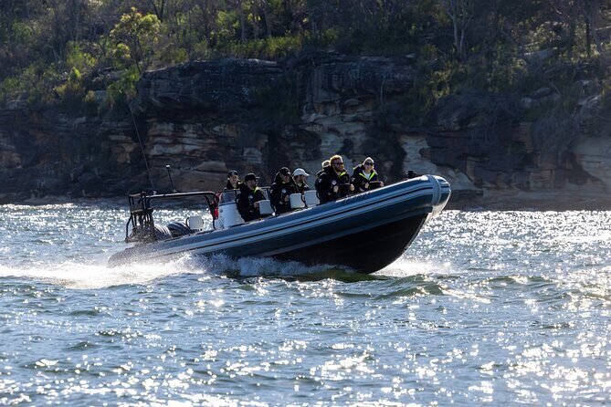 Sydney Whale Watching on Small RIB - An In-Depth Look at the Sydney Whale Watching on Small RIB