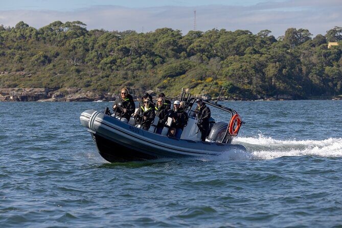Sydney Whale Watching on Small RIB - The Harbor Cruise & Landmarks