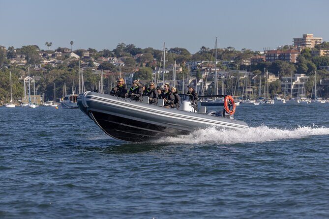 Sydney Whale Watching on Small RIB - The Return Ride & Final Views