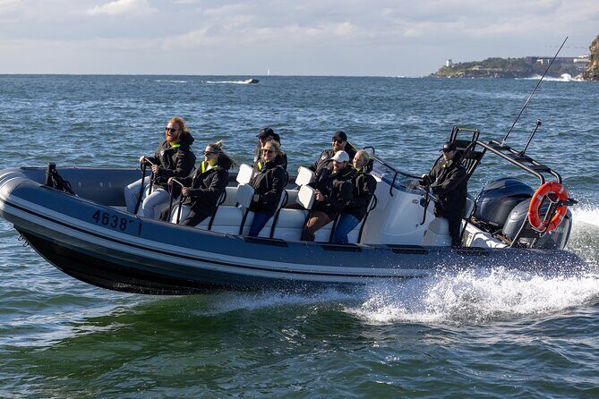 Sydney Whale Watching on Small RIB - Practical Considerations