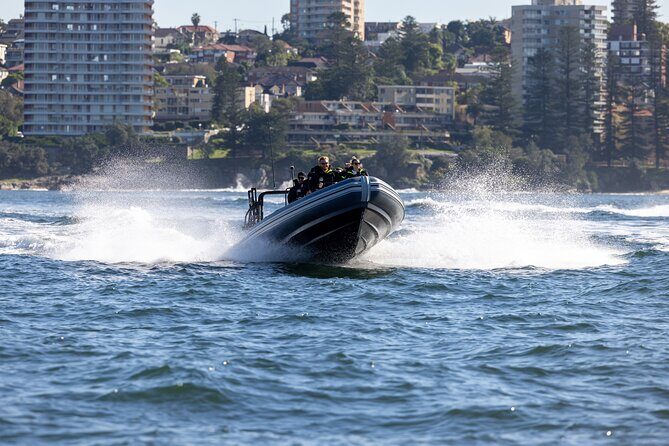 Sydney Whale Watching on Small RIB - Who Would Love This Tour?