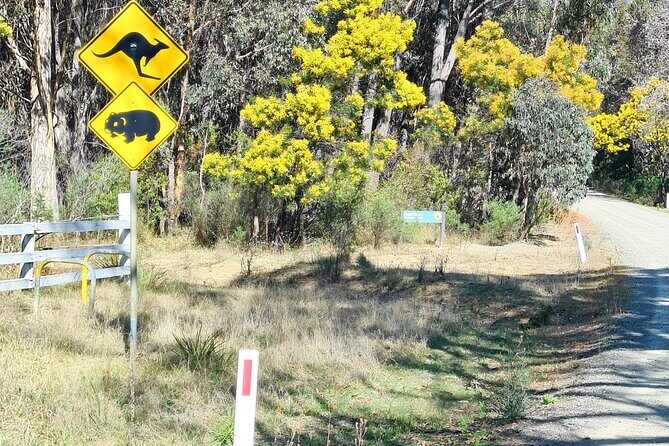 Sydney Wildlife Safari - An In-Depth Look at the Sydney Wildlife Safari