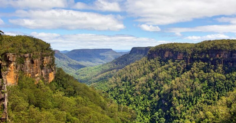 Sydney: Wildlife, Waterfalls and Wine Small Group Tour - Who is this tour best for?