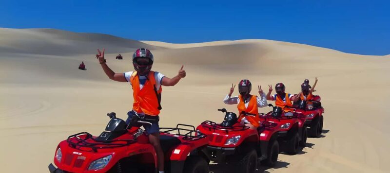 Sydney:Dolphin Watching and Sandboarding in Port Stephens - Discovering Port Stephens: A Mix of Wildlife and Adventure