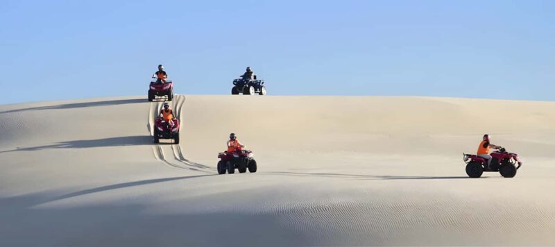 Sydney:Dolphin Watching and Sandboarding in Port Stephens - FAQ
