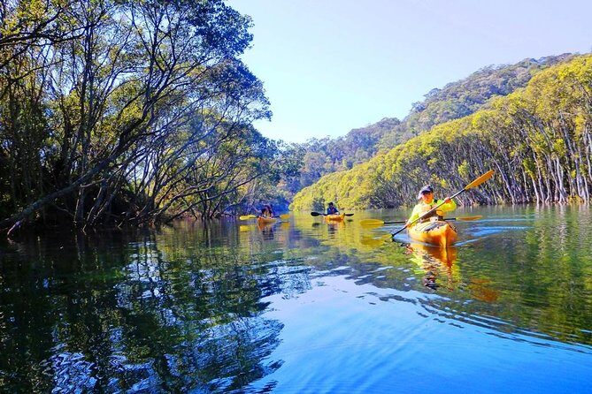 Sydney's Middle Harbour Sea Kayaking Eco Tour (Fully Guided) - Why This Tour Is a Must-Do in Sydney