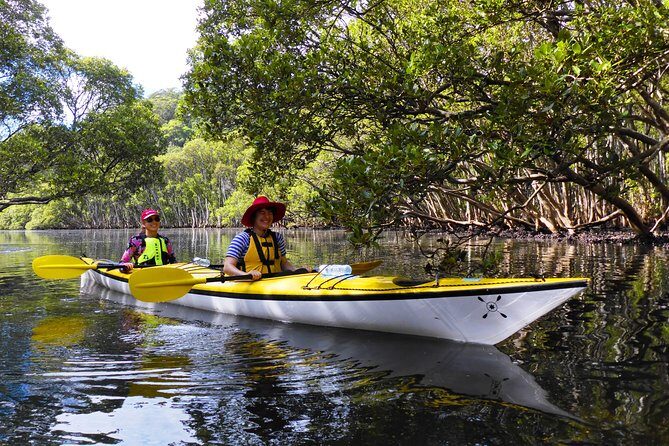 Sydney's Middle Harbour Sea Kayaking Eco Tour (Fully Guided) - The Value of the Tour