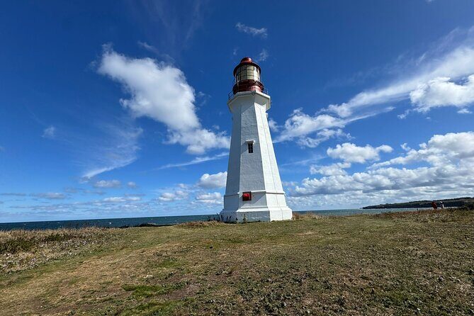 Sydney's Story: From Downtown to Coastline - Key Points