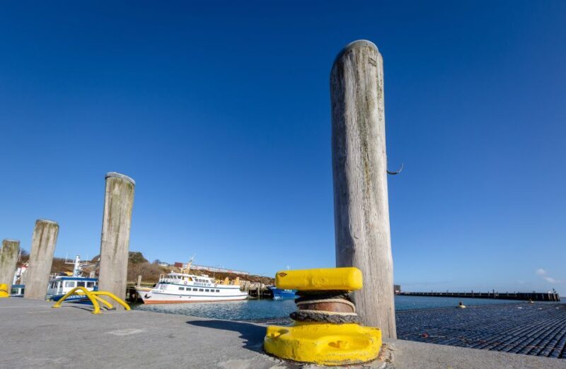 Sylt: Guided Island Tour by Bus with Sylt Highlights - Who Is This Tour Best For?