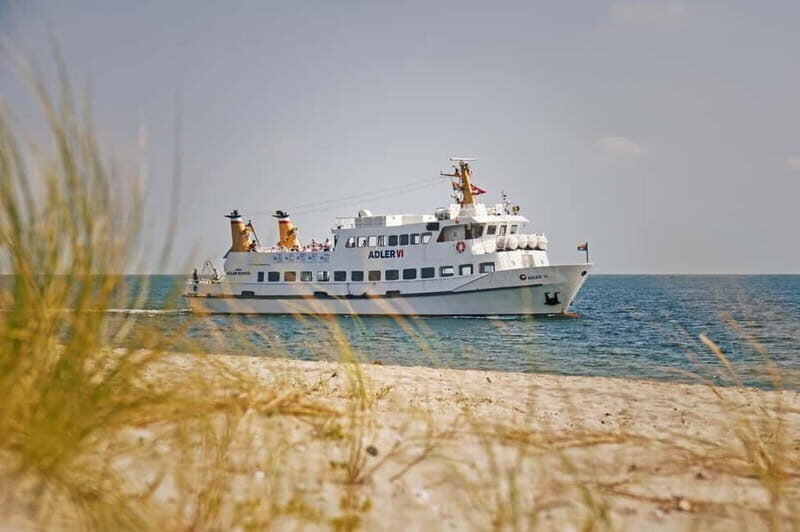 Sylt: Shell safari with boat | incl. Mussel tasting & 1 glass of wine - Key Points
