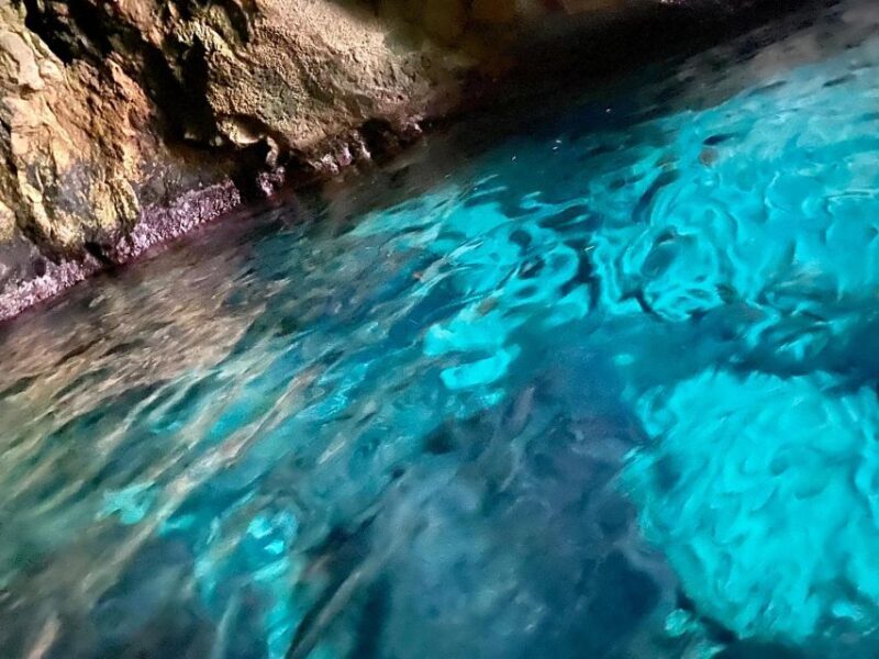 Syracuse: Boat Trip of Ortigia Island and Sea Caves - The Sum Up