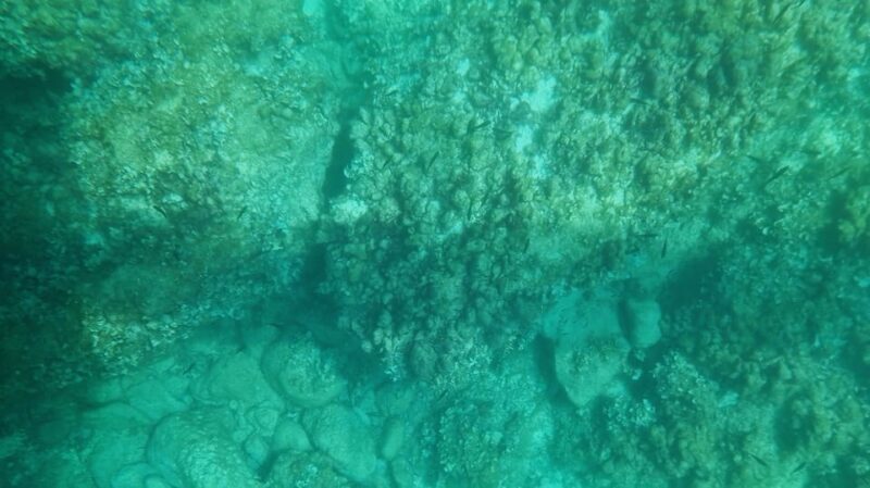 Syracuse: Coast and Sea Caves Full Transparent Boat Tour - FAQ