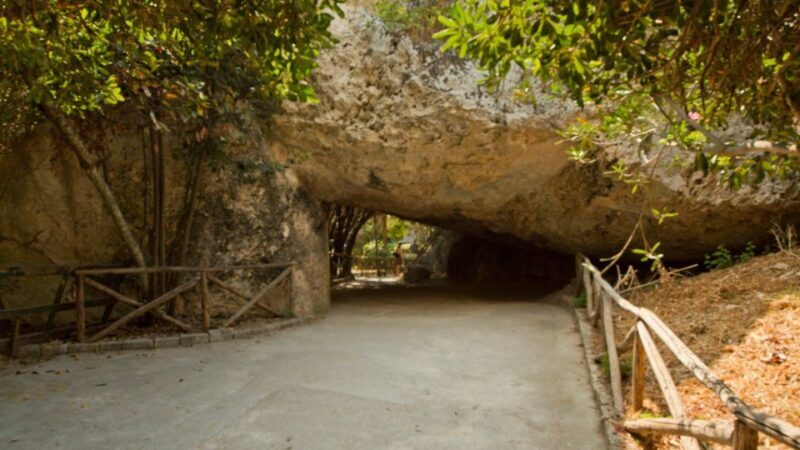 Syracuse: Neapolis and Greek Theater guided tour - A Closer Look at Syracuse’s Ancient Treasures
